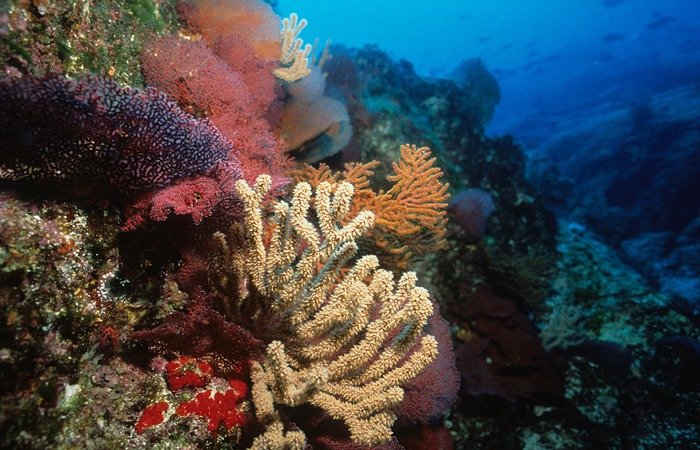 A photorealistic image of a local artisan demonstrating a traditional craft to a group of tourists in a small Baja village. The scene is colorful and vibrant. The camera angle is eye-level, capturing the interaction between the artisan and the tourists. Style: documentary photography. 4K resolution.